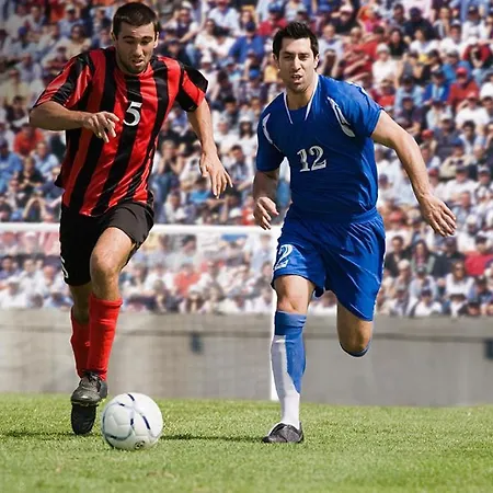 Ξενοδοχείο Athen Frankfurt Airport Κέλστερμπαχ